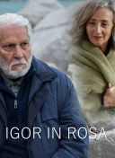 战争机器攻略：灵活运用战术与资源